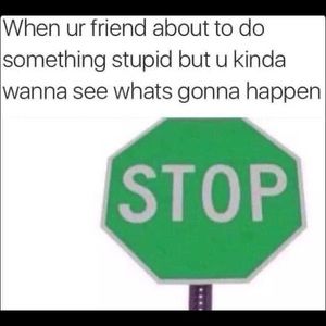 Meet your Posher, Krystal